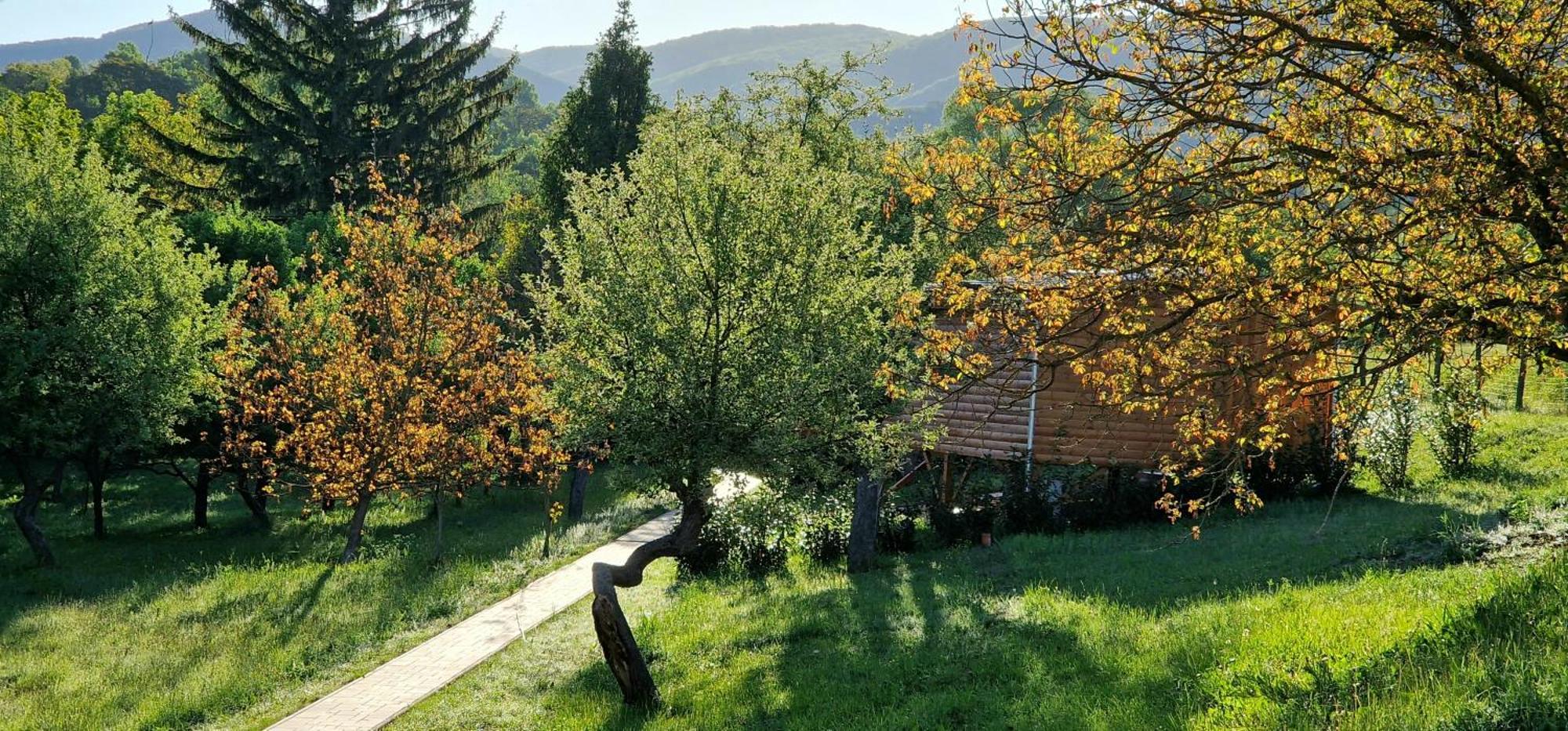 Reteskert Vendeghaz Es Apartman Belapatfalva Exterior foto